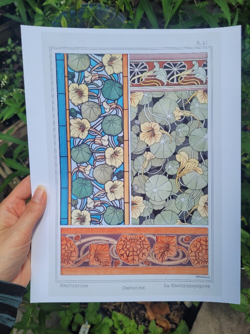 Art Nouveau Botanical Print